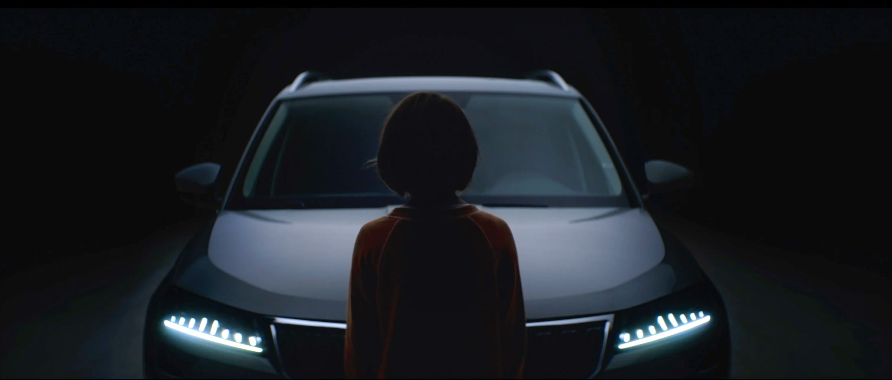 Skoda: Fortune Favours the Brave